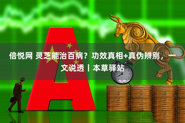 倍悦网 灵芝能治百病？功效真相+真伪辨别，一文说透丨本草驿站